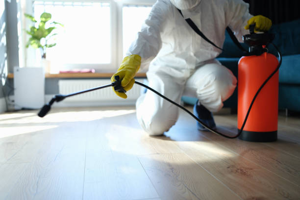 Reliable Odor Removal contractor in Summit, NJ by Trauma Clean Pros